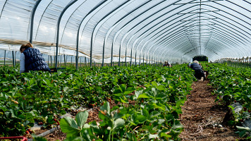 L’IMU nel mondo agricolo