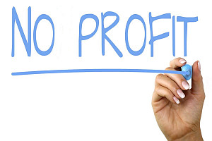 Il no profit non è compreso nel perimetro del controllo pubblico