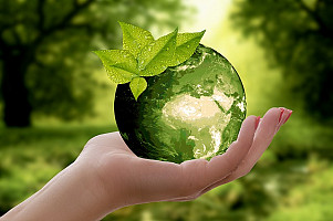 Anche le scuole dovrebbero beneficiare del Green New Deal